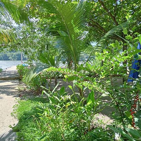 Casa Maya Lívingston المظهر الخارجي الصورة