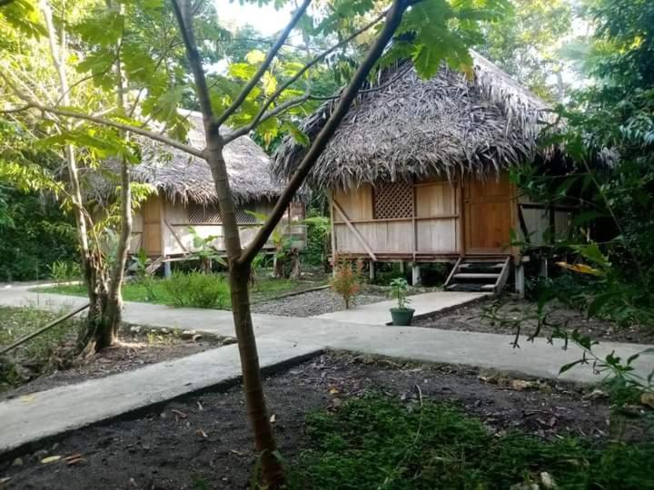 Casa Maya Lívingston المظهر الخارجي الصورة