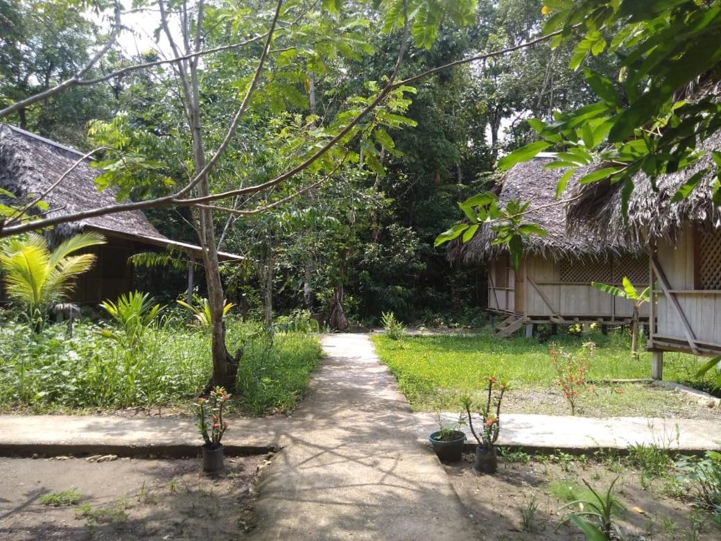 Casa Maya Lívingston المظهر الخارجي الصورة