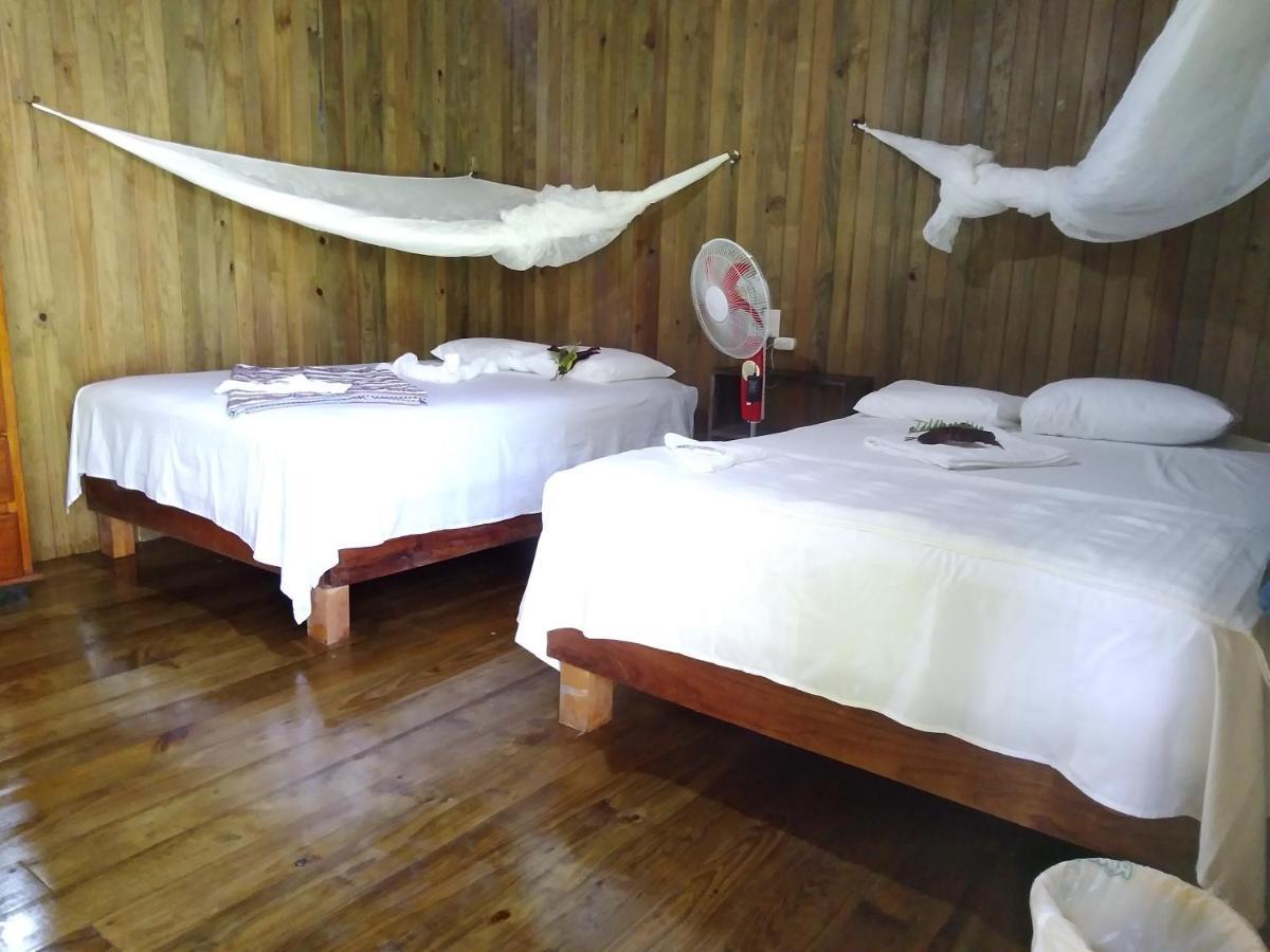 Casa Maya Lívingston المظهر الخارجي الصورة