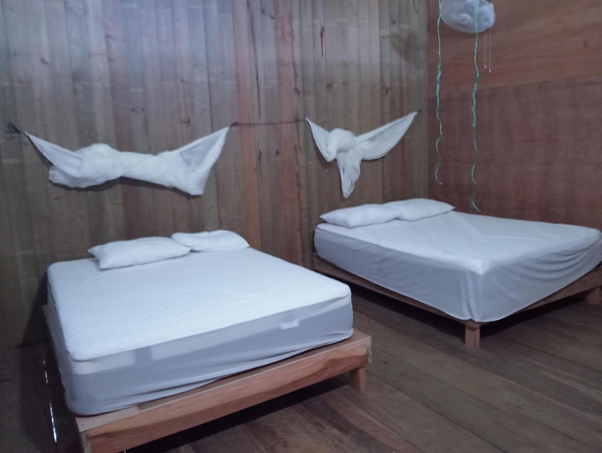 Casa Maya Lívingston المظهر الخارجي الصورة