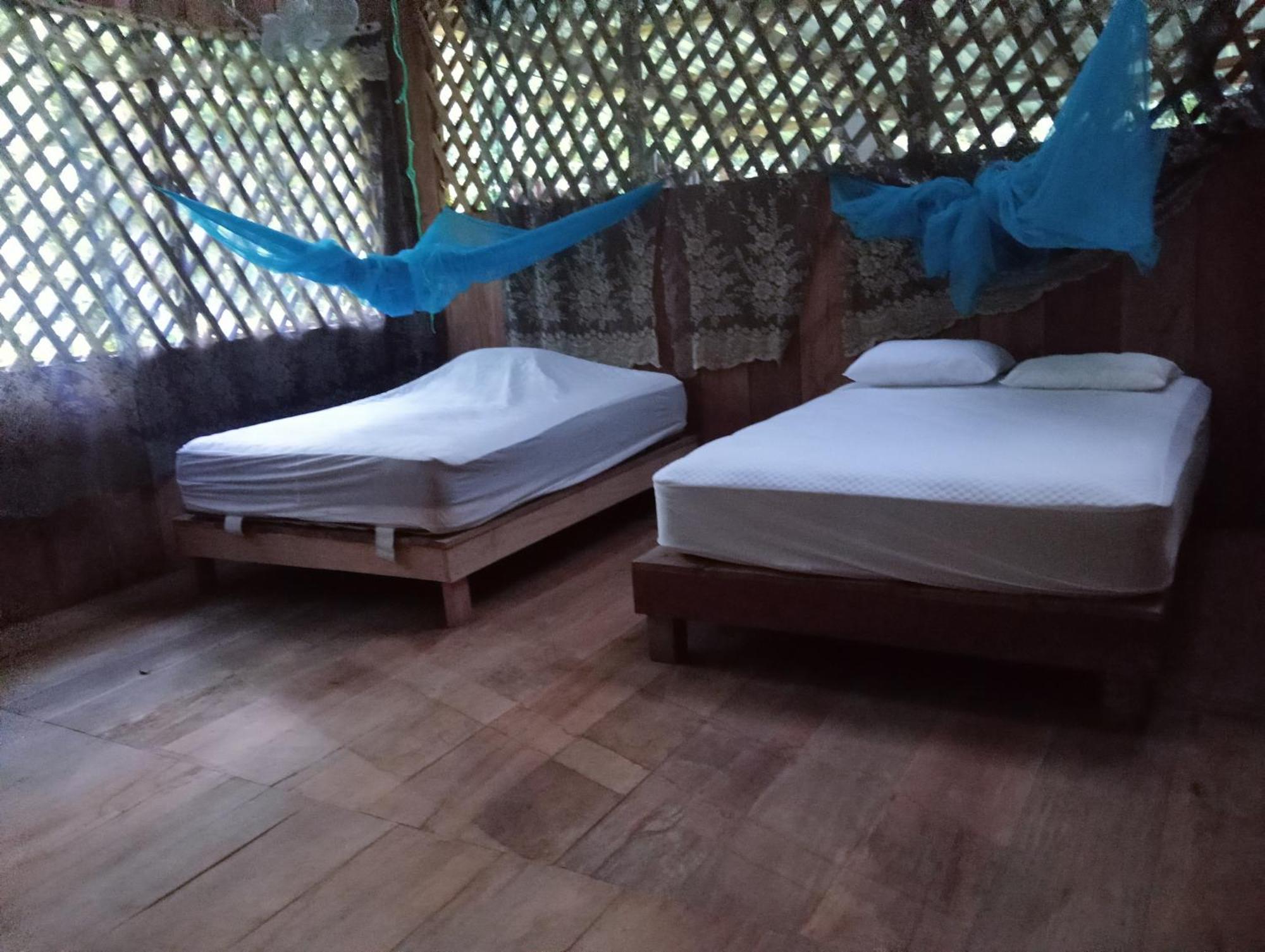 Casa Maya Lívingston المظهر الخارجي الصورة