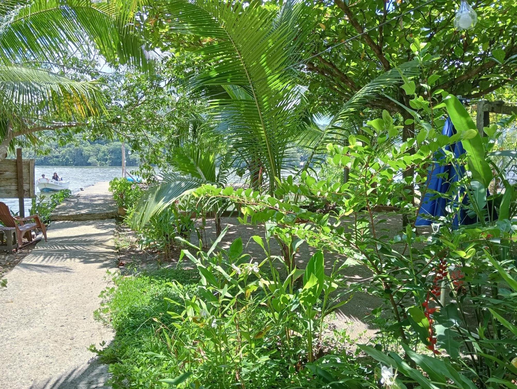 Casa Maya Lívingston المظهر الخارجي الصورة